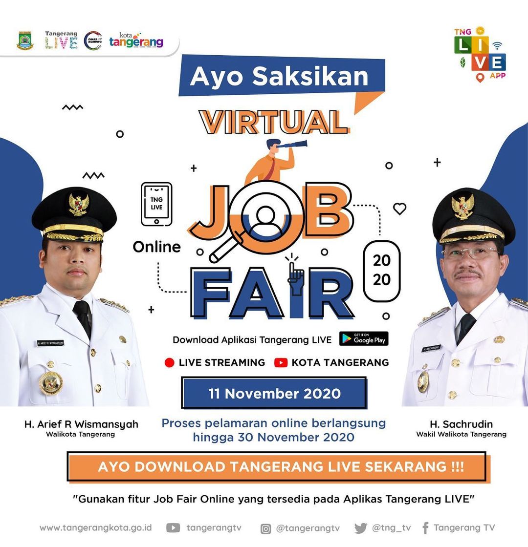 Virtual Job Fair 11 November 2020
